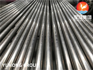 ASTM B163 UNS N04400 Nikel alaşımlı çelik ısıtma değiştiricisi için dikişsiz boru