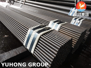 ASTM A213 T5 Alaşımlı çelik dikişsiz boru kazanı süper ısıtıcı ısı değiştiricisi