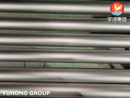 ASTM B407 Nikel Alaşımı UNS NO8800 dikişsiz çelik borular