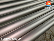 ASTM B407 Nikel Alaşımı UNS NO8800 dikişsiz çelik borular
