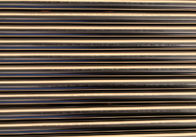 ASTM A269 TP304 Paslanmaz Çelik Dikişsiz Boru