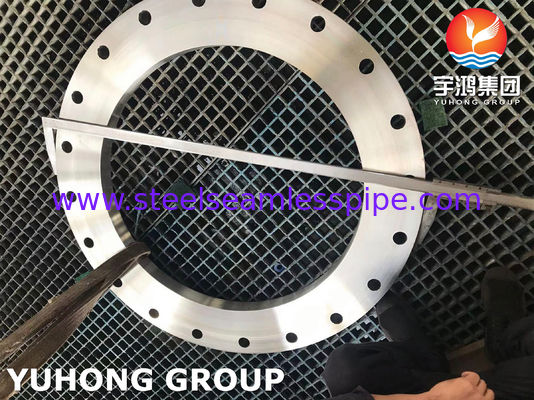 Su arıtma tesisleri için ASTM A 182 GR F316L Paslanmaz Çelik Flanges kaydırma