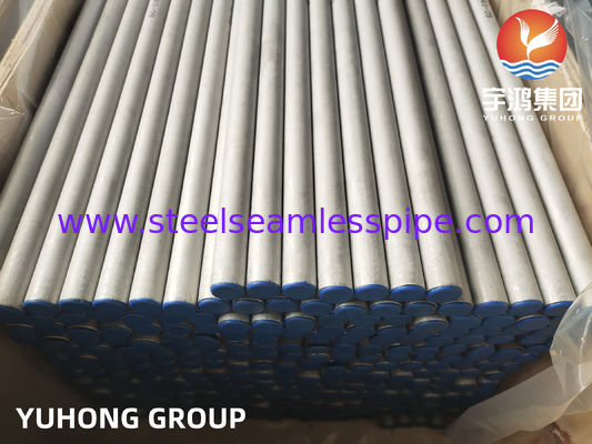 ASTM A213/ ASME SA213 TP317/ TP317L/TP317LMN Paslanmaz Çelik Dikişsiz Tüp