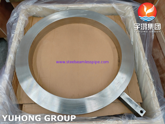 ASME SA182 F317L Kalıplı Paslanmaz Çelik Halka Aralıklandırıcı Flanş Paddle Aralıklandırıcılar
