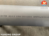 ASTM A312 UNS S31254 / 254SMO Dubleks Paslanmaz Çelik Dikişsiz Boru