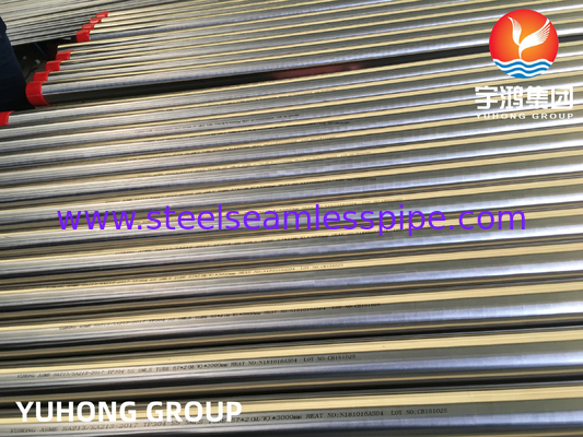 ASME SA213 ASTM A213 TP304 Dikişsiz Paslanmaz Çelik Isı Değiştiricisi Tüpleri