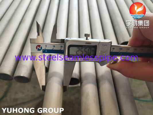 ASME SA789 / ASTM A789 S32205 Çifte Paslanmaz Çelik Tüpler