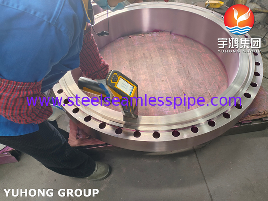 Paslanmaz Çelik Flanges ASTM A182 F310, UNS S31000 Weld Neck RTJ Flange B16.5