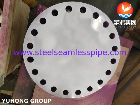 ASTM A182 F304/304L Kör B16.5 Kalıp Flanş Yükseltilmiş Yüz BLRF # 600