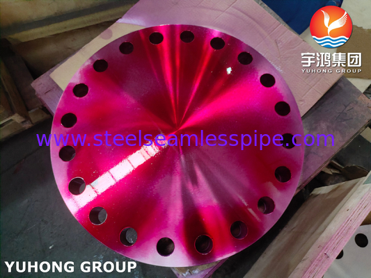 ASTM A182 F304/304L Kör B16.5 Kalıp Flanş Yükseltilmiş Yüz BLRF # 600