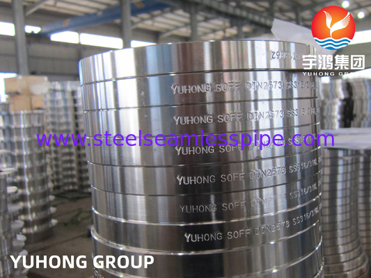 DIN2573, ASTM A182 F316 F316L, Kalıplı Paslanmaz Çelik Flanşlarda Kayma, Düz Yüz B16.5