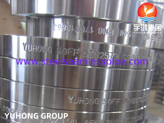 DIN2573, ASTM A182 F316 F316L, Kalıplı Paslanmaz Çelik Flanşlarda Kayma, Düz Yüz B16.5