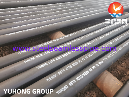 ASTM A335 P9 Dikişsiz Alaşımlı Çelik Borular, Enerji Santralleri İçin