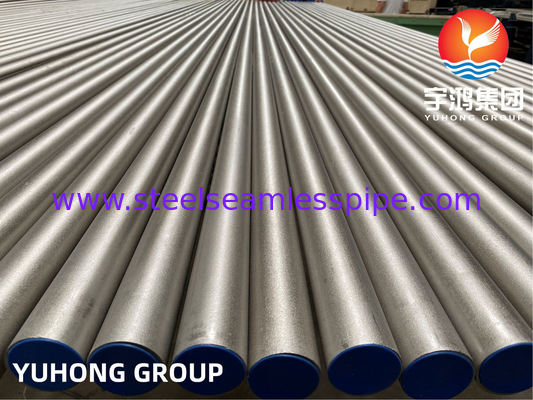 Kazık borusu Nikel Alaşımı ASTM B407 Alloy 800 800H 800HT Tube bundle için Uygulama