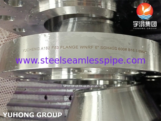 ASTM A182 F53 / UNS S32750 Süper Dupleks Paslanmaz Çelik 2507 WNRF Flange
