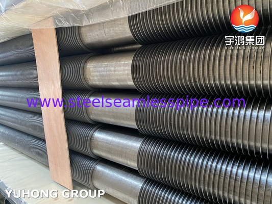 Fined Pipe ASTM A312 TP347H SS Ekonomisör için Sabit Fin Tube