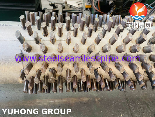 ASTM A312 TP316L korozyona dayanıklı ısı değişim sistemleri için özelleştirilebilir yüksekliğe sahip dolgun tüplü tüp