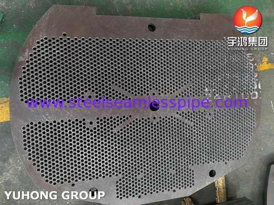 Sıcaklık Değiştiricisi Baffle, Destek Plakası, ASME SA516 GR.70, NACE MR- 0175, MR-0103