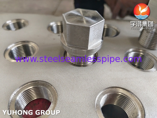 Sıcaklık Değiştiricisi TubeSheet Uygulaması için Paslanmaz Çelik Bolt ve Fındık