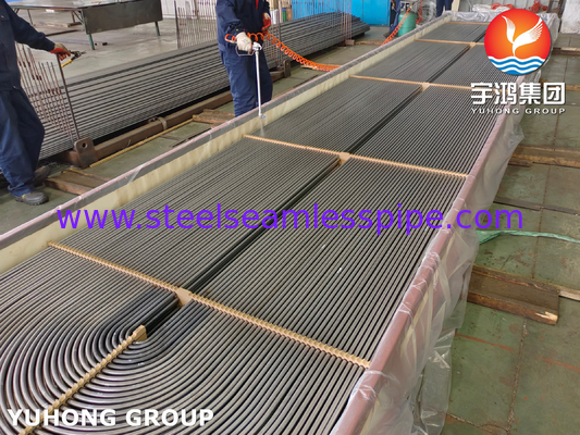 ASME SA179 U Bend Seamless Cold Drawn Carbon Steel Tube for Tubular Heat Exchangers (Tüplü Isı Değiştiriciler için U Bend Dikişsiz Soğuk Çekici Karbon Çelik Tüp)