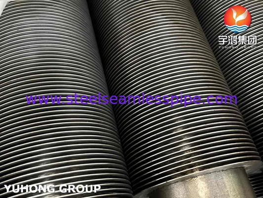 Yüksek Frekanslı Kaynak ASTM A312 TP316L Kabuk için Paslanmaz Çelik Fin Pipe