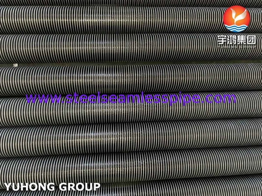 Yüksek Frekanslı Kaynak ASTM A312 TP316L Kabuk için Paslanmaz Çelik Fin Pipe