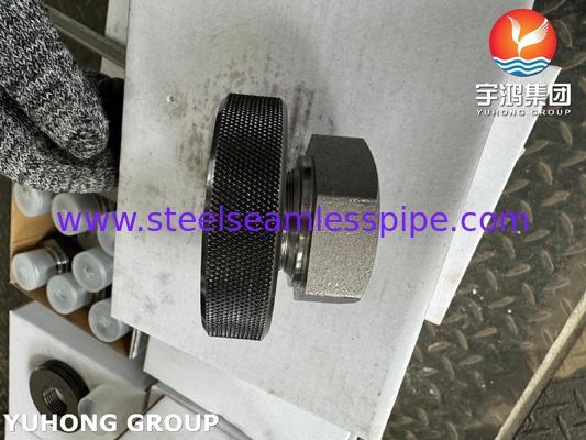 A105 Karbon Çelik Bağlantı Fileri Hex Baş Plug ASTM A105 ASME B16.11