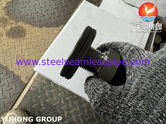 A105 Karbon Çelik Bağlantı Fileri Hex Baş Plug ASTM A105 ASME B16.11