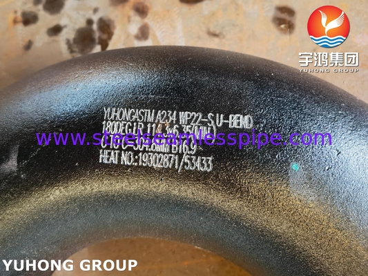 Alaşımlı Çelik Boru Bağlantısı ASTM A234 WP22 180° LR U BEND