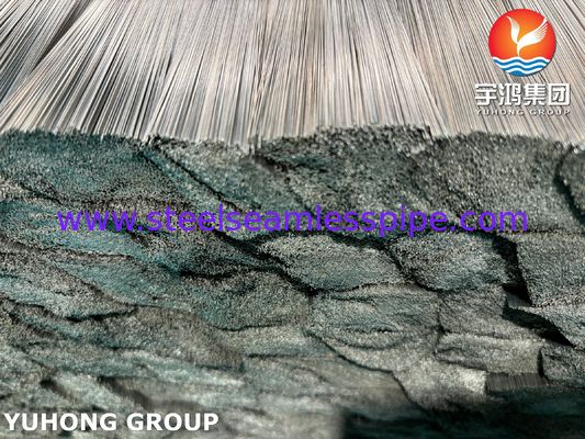 Tıbbi Aletler İçin SUS304 Parlak Tavlanmış Paslanmaz Çelik Kılcal Borular ISO9626