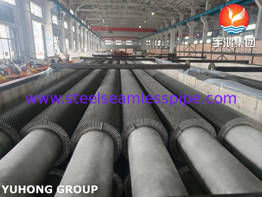 TP304H HFW Fin Tube Serrated Type ASTM A312 HRSG Isı Geri Kazanım Buhar Sistemi için
