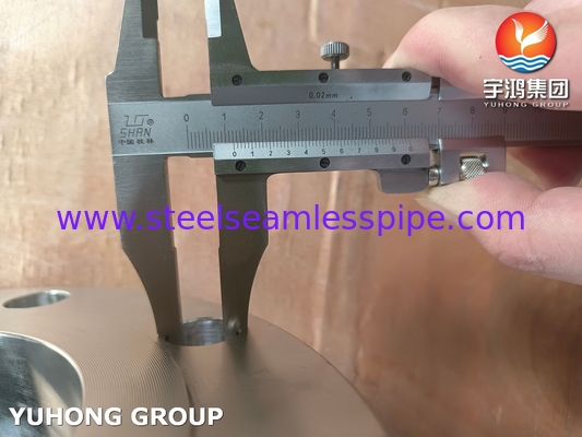 ASTM A182 / ASME SA182 F60 UNS32205 Kayma Flanges Duplex Çelik Flanges B16.5
