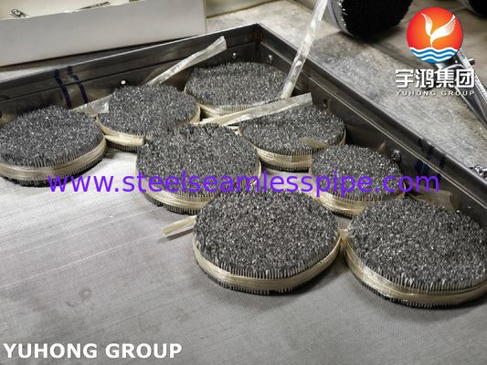 Paslanmaz çelik iğne tüpü, SUS304 16G Hayvan bakımı için veteriner iğne