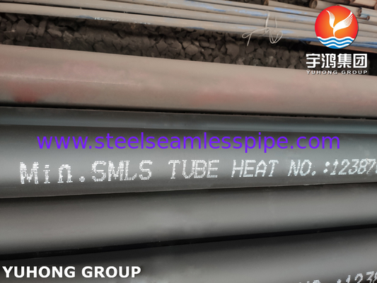 ASME SA213 / ASTM A213 T9 Boiler, Süper Isıtma ve Isı Değiştiricisi için Alaşımlı Çelik Dikişsiz Tüp