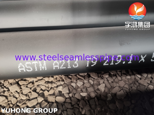 ASME SA213 / ASTM A213 T9 Boiler, Süper Isıtma ve Isı Değiştiricisi için Alaşımlı Çelik Dikişsiz Tüp