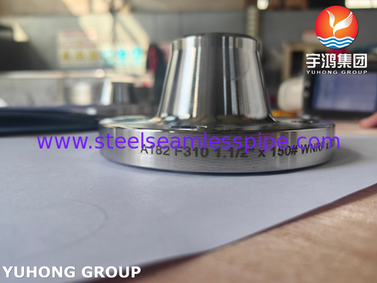 ASTM A182 F310 Paslanmaz Çelik WNRF Flange ASME B16.5 Kalıp Çelik Flange
