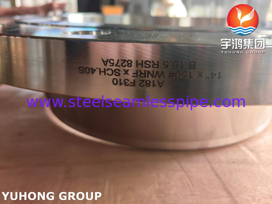 ASTM A182 F310 Paslanmaz Çelik WNRF Flange ASME B16.5 Kalıp Çelik Flange