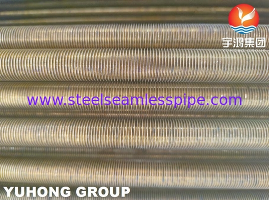 B359 C44300 C44500 Bakır Alaşımı Düşük Fin Tüp U Bend Isı Değiştiricileri için ASTM B154-16