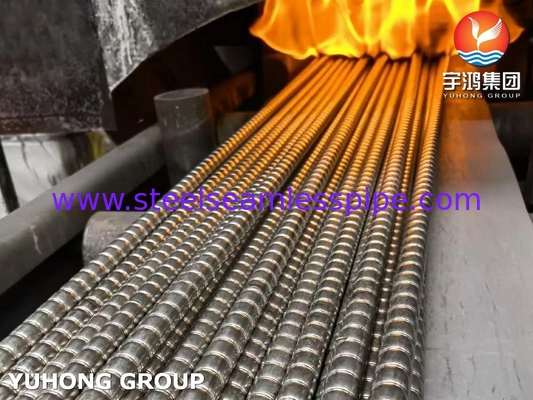 ASME SA312 / ASTM A312 TP310S Sıcaklık Değiştiricisi için Gürültülü Fin Tüp