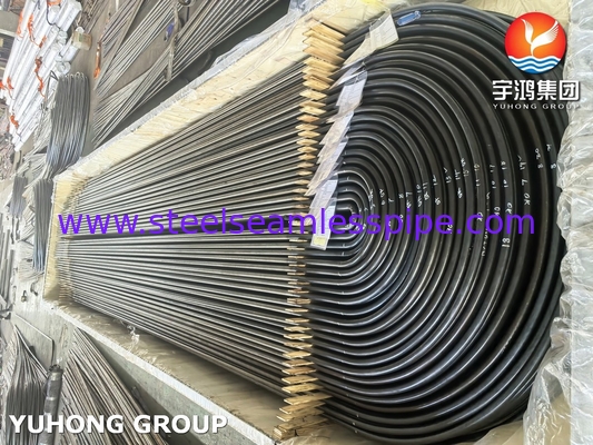 Paslanmaz Çelik Isı Değiştiricisi U Bend Tube A213/SA213 TP304L Bright Annealed BA Seamless Grade TP304L / UNS S30403