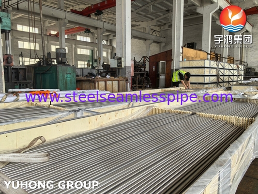 Paslanmaz Çelik Isı Değiştiricisi U Bend Tube A213/SA213 TP304L Bright Annealed BA Seamless Grade TP304L / UNS S30403