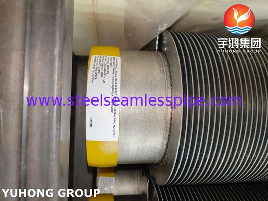 ASTM A376 TP347H Katı Spiral Yüksek Frekanslı Kaynaklı HFW Fin Tube 11Cr ile Petrokimya, Enerji ve Diğer Endüstrilerde Kullanılır