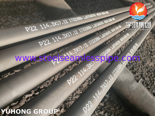 ASTM A335 P22 Alaşımlı Çelik Dikişsiz Boru Yüksek Sıcaklık Kullanımı İçin