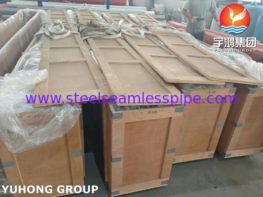 ASTM A269 TP304 (1.4301) Stainless Steel Seamless Tube for Heat Exchanger