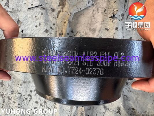 ASTM A182 F11 CL2 Alaşımlı Çelik Flange Weldneck Yükseltilmiş Yüz