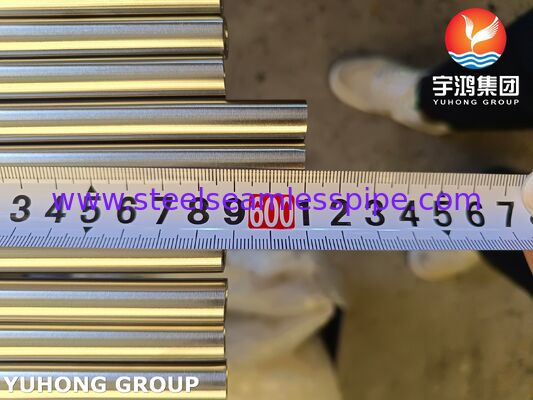 ASTM A789 S32750 SMLS Dubleks Çelik Parlak Boru, Klorür İyonu Korozyonuna Karşı Direnç