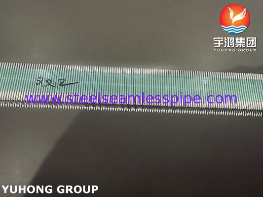 Hemodiyaliz için Yüksek Performanslı SUS304 Tıbbi Paslanmaz Çelik AVF Kanülü, 15G-17G Ölçü Aralığı ve Mikro Cilalı Yüzey