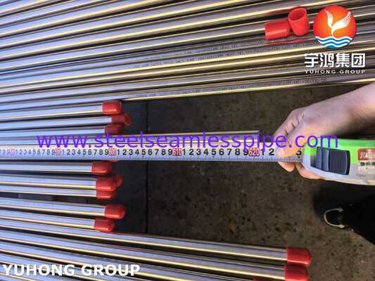 ASME SA269 TP316 İçki Endüstrisi için Paslanmaz Çelik Dikişsiz Parlak Pürüzlü Tüpler