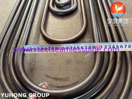 ASME SA213 T11 Boiler Superheater Elektrik Santrali için Dikişsiz Alaşımlı Tüp 1.25Cr-0.5Mo Chrome Moly
