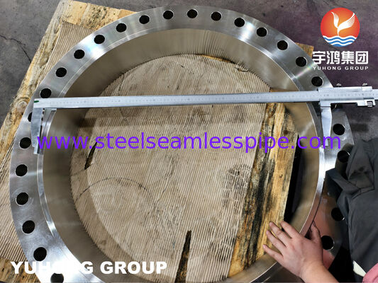 ASTM A182 F316L WNRF Paslanmaz Çelik Dövme Flanş - Aşındırıcı Boru Sistemleri İçin